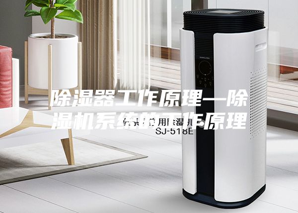 除濕器工作原理—除濕機系統(tǒng)的工作原理