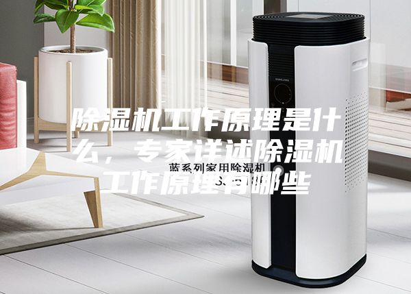 除濕機(jī)工作原理是什么，專家詳述除濕機(jī)工作原理有哪些