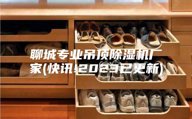 聊城專業(yè)吊頂除濕機廠家(快訊!2023已更新)