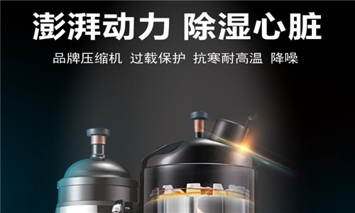 電力和配電行業(yè)／發(fā)電廠除濕機濕度控制_除濕機廠家