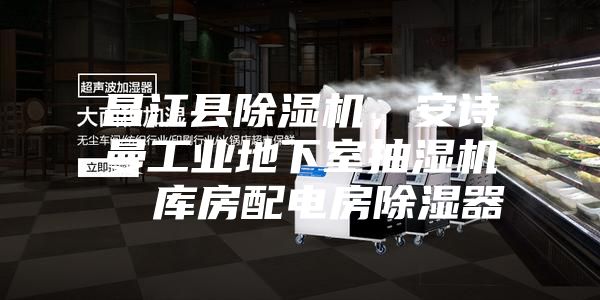 昌江縣除濕機，安詩曼工業(yè)地下室抽濕機  庫房配電房除濕器