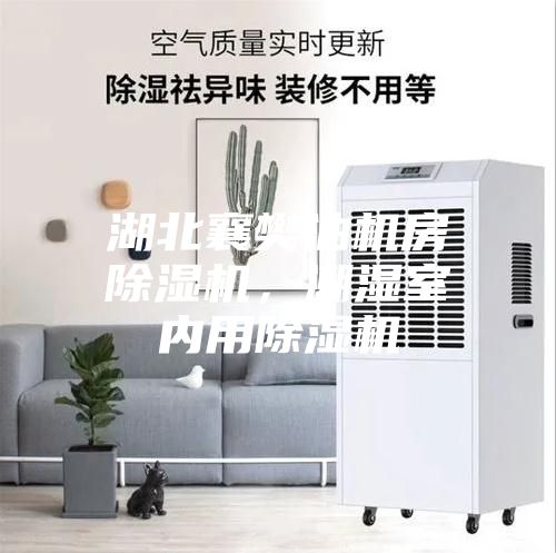 湖北襄樊油機房除濕機，潮濕室內(nèi)用除濕機