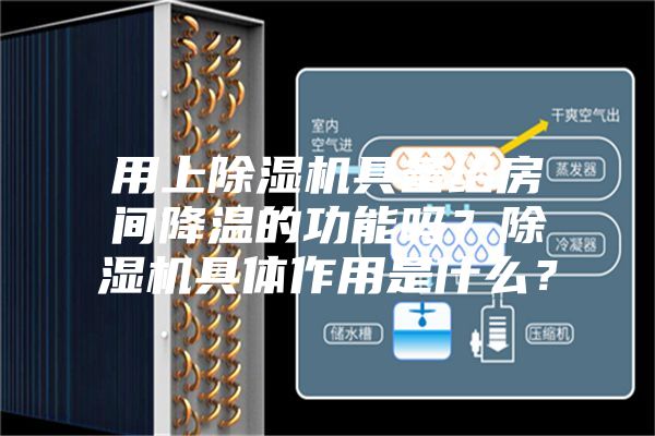 用上除濕機具備給房間降溫的功能嗎？除濕機具體作用是什么？