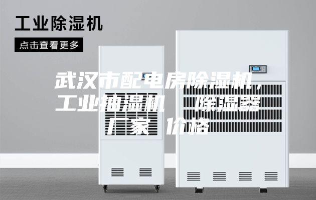 武漢市配電房除濕機(jī)，工業(yè)抽濕機(jī)  除濕器廠家 價格