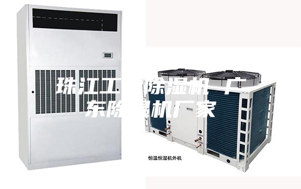 珠江工業(yè)除濕機 廣東除濕機廠家