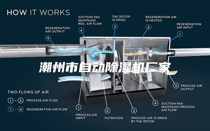 潮州市自動除濕機(jī)廠家