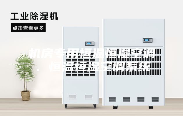 機(jī)房專用恒溫恒濕空調(diào)、恒溫恒濕空調(diào)系統(tǒng)