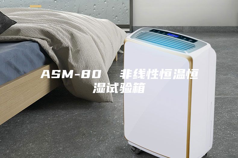 ASM-80  非線性恒溫恒濕試驗箱