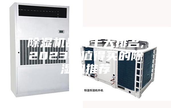 除濕機(jī)品牌十大排名,2023年值得買的除濕機(jī)推薦