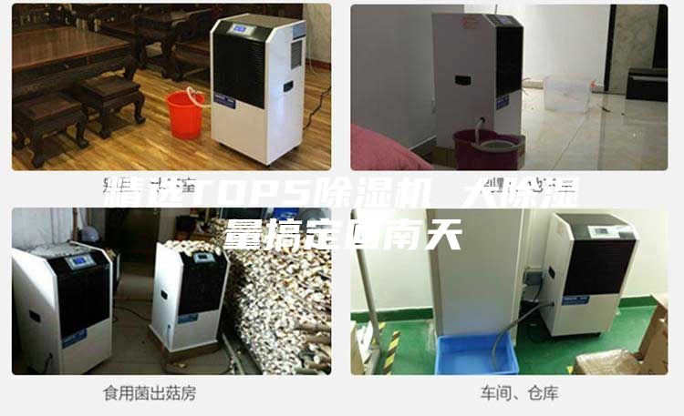 精選TOP5除濕機 大除濕量搞定回南天