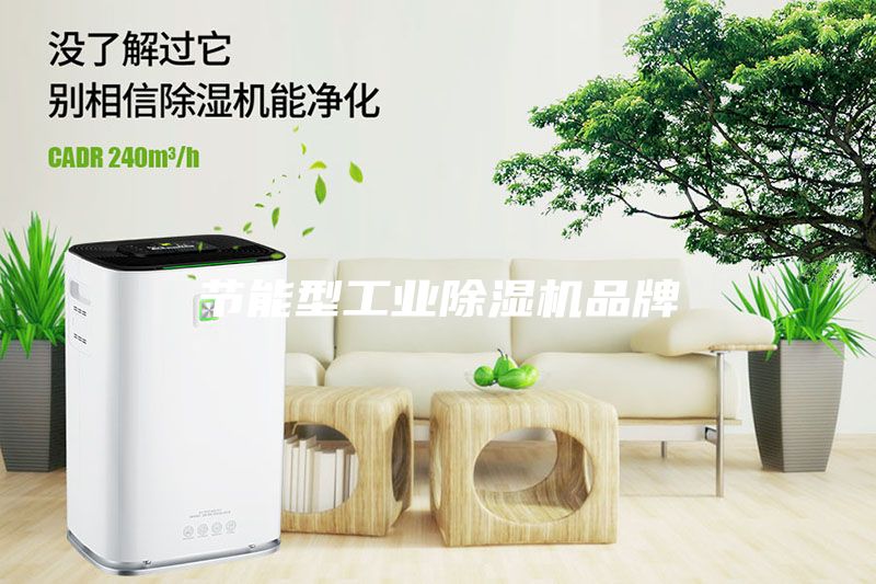 節(jié)能型工業(yè)除濕機(jī)品牌