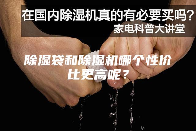 除濕袋和除濕機哪個性價比更高呢？