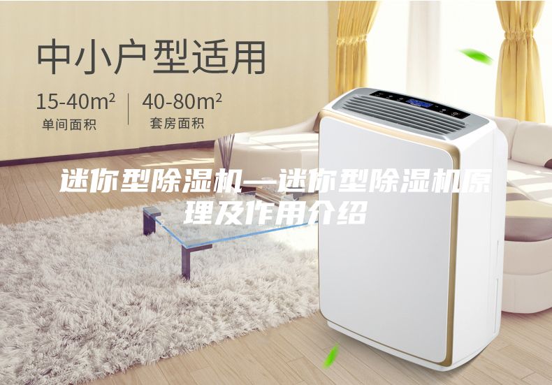 迷你型除濕機—迷你型除濕機原理及作用介紹