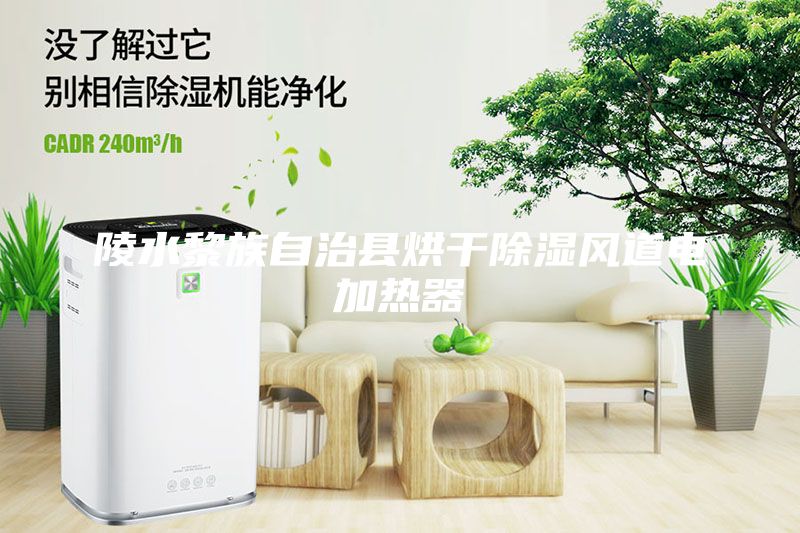 陵水黎族自治縣烘干除濕風(fēng)道電加熱器