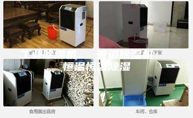 工業(yè)除濕機(jī)、 管道除濕機(jī)、 恒溫恒濕除濕