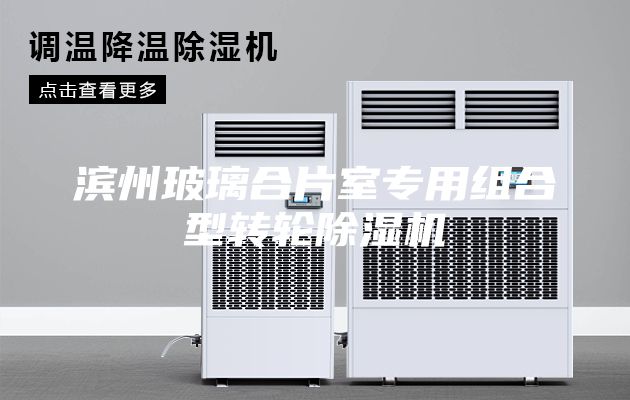 濱州玻璃合片室專用組合型轉(zhuǎn)輪除濕機