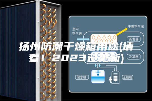 揚(yáng)州防潮干燥箱用途(請(qǐng)看！2023已更新)