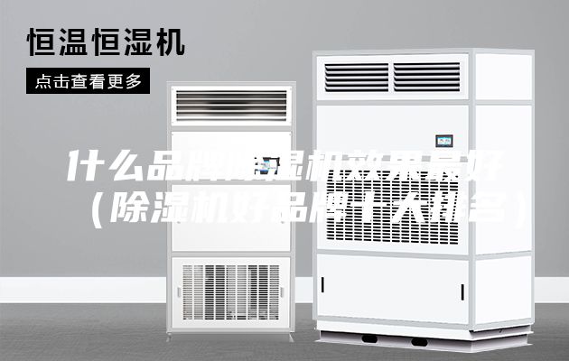 什么品牌除濕機(jī)效果最好（除濕機(jī)好品牌十大排名）