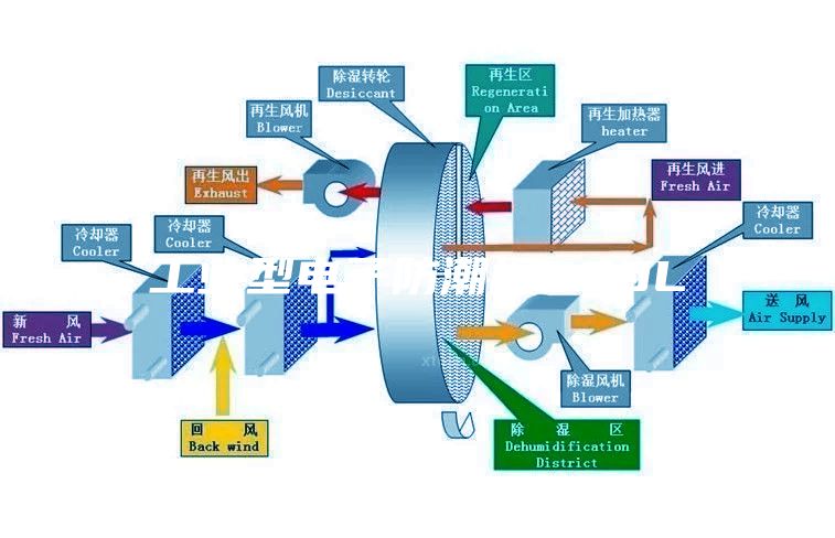 工業(yè)型電子防潮柜900L