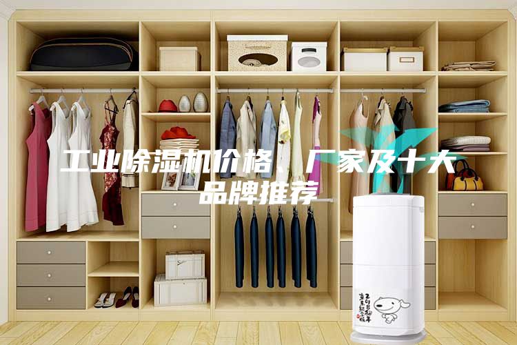 工業(yè)除濕機價格、廠家及十大品牌推薦