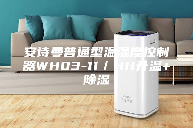 安詩曼普通型溫濕度控制器WH03-11／HH升溫+除濕